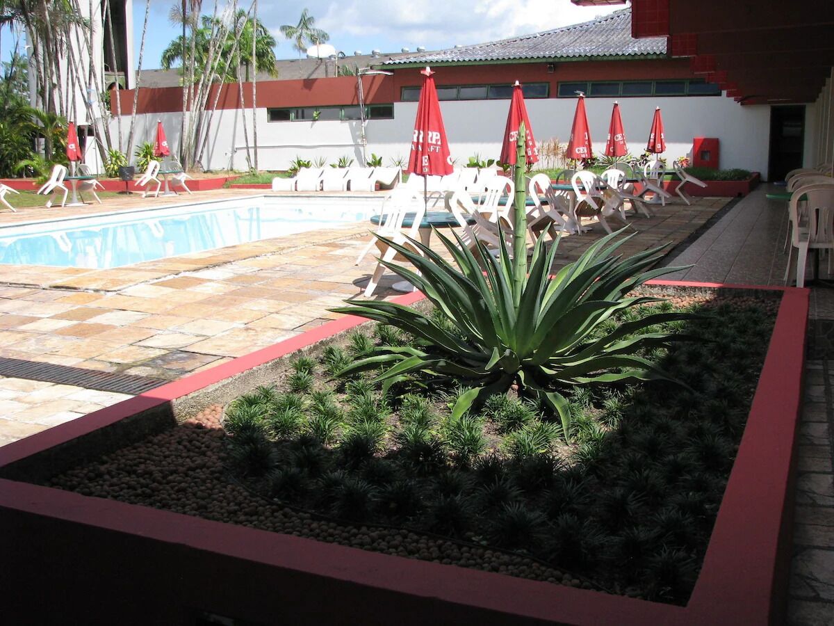 Ein Poolbereich mit Liegestühlen und Sonnenschirmen, umgeben von einem Garten mit Pflanzen und einer Palme.