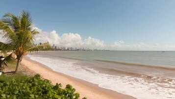 A beach with a palm tree and a city skyline in the background.