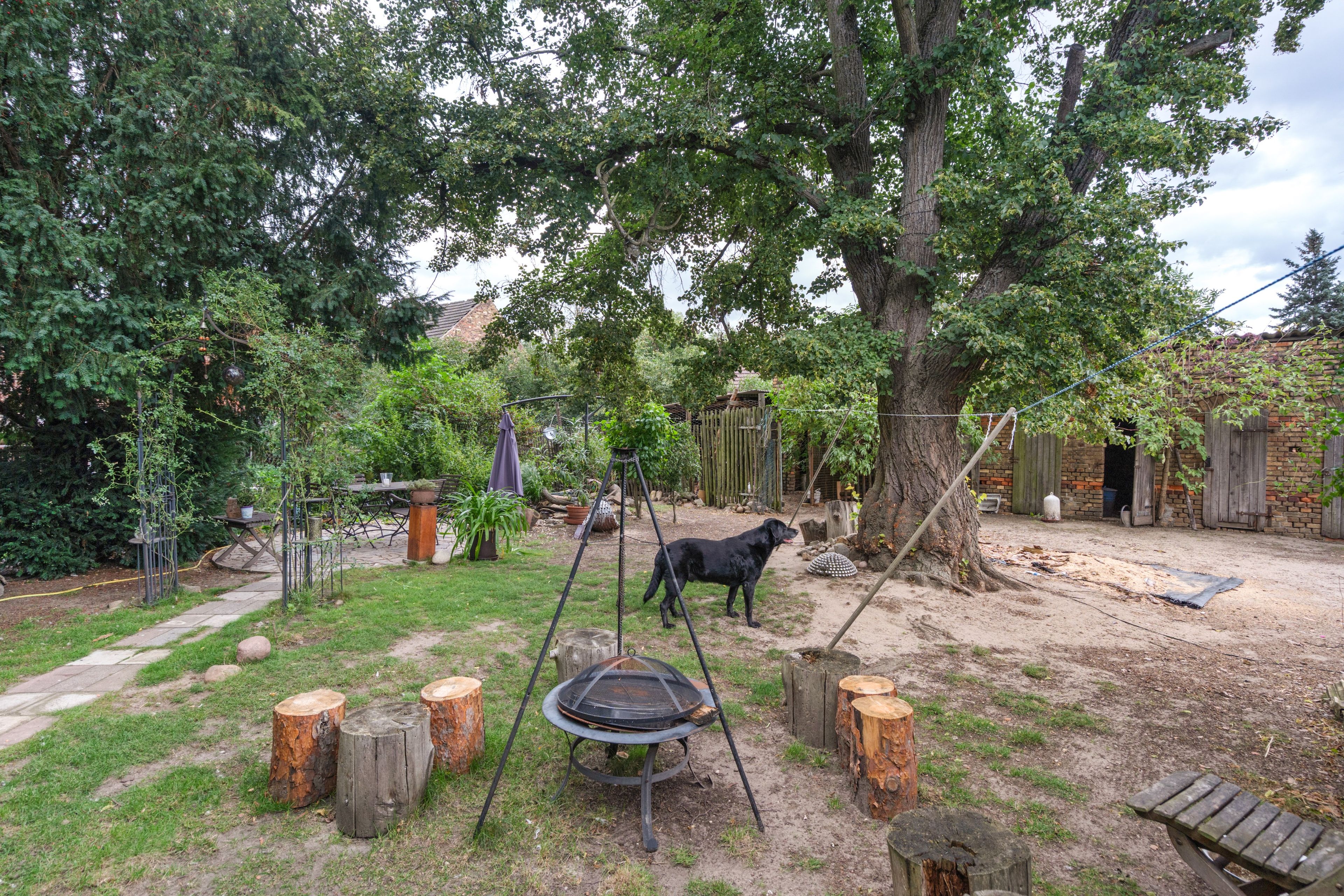 A backyard with a swing set, a dog, and a fenced area with trees.