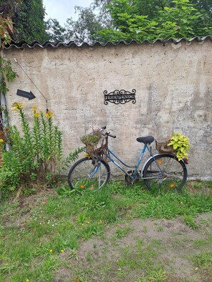 A bicycle parked against a textured wall with a sign indicating 'FRIENPENSION'.