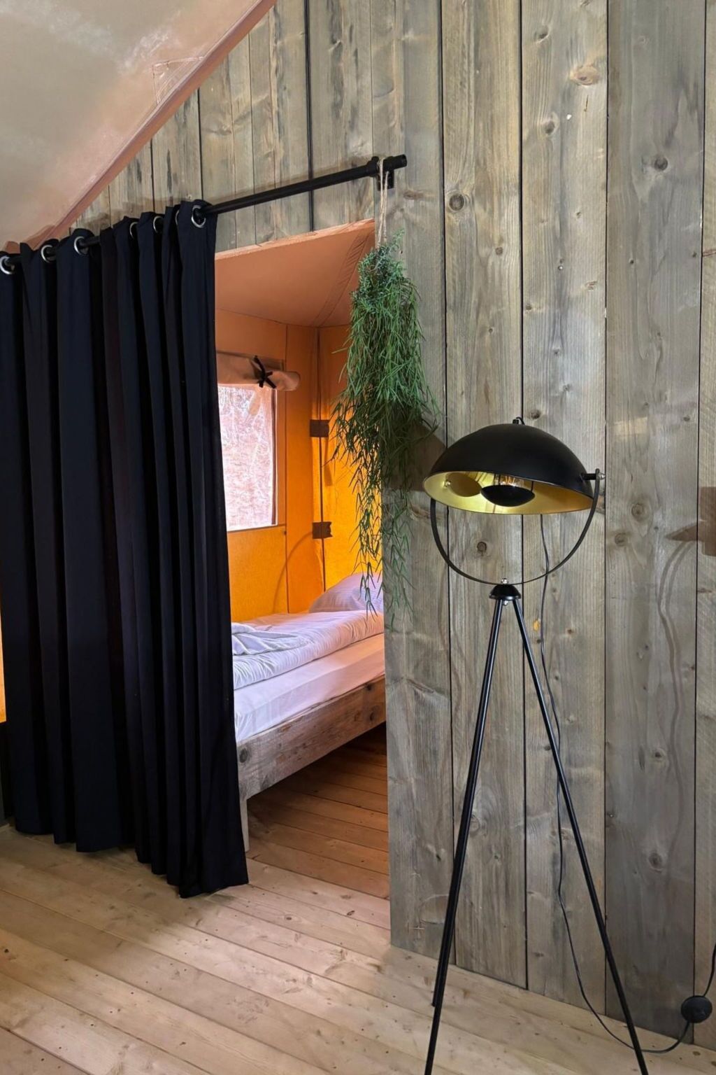 Ein Zimmer mit einem Bett, einer hängenden Pflanze, einer Stehlampe und einem Vorhang.