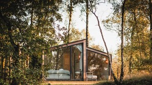 Eine moderne Glasarchitektur mit Bett und Sitzgelegenheit, umgeben von dichtem Wald.