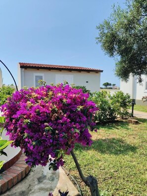 A building with a red-tiled roof, a white exterior, and a small garden with purple flowers.