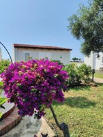 Un edificio con techo de tejas rojas, fachada blanca y un pequeño jardín con flores moradas.