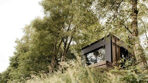 Eine moderne Hütte inmitten eines Waldes, umgeben von hohen Bäumen und dichtem Grün.