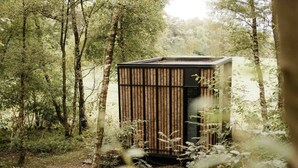Eine kleine Holzhütte in einem bewaldeten Gebiet.