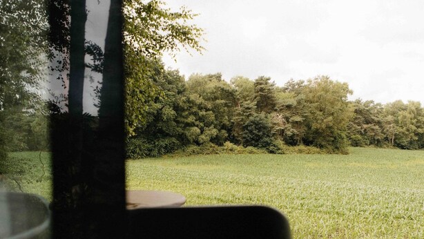 Blick durch ein Fenster auf eine Holzdielen-Terrasse, ein Wiesenfeld und dichte Bäume im Hintergrund.