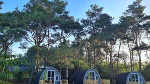 Three dome-shaped cabins with wooden decks, surrounded by a forested area. - Wilsumer Berge Resort - Wood Lodge by Interhome (Wilsum)