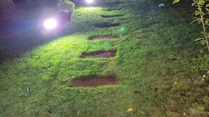 A pathway with evenly spaced lights, surrounded by grass and trees.
