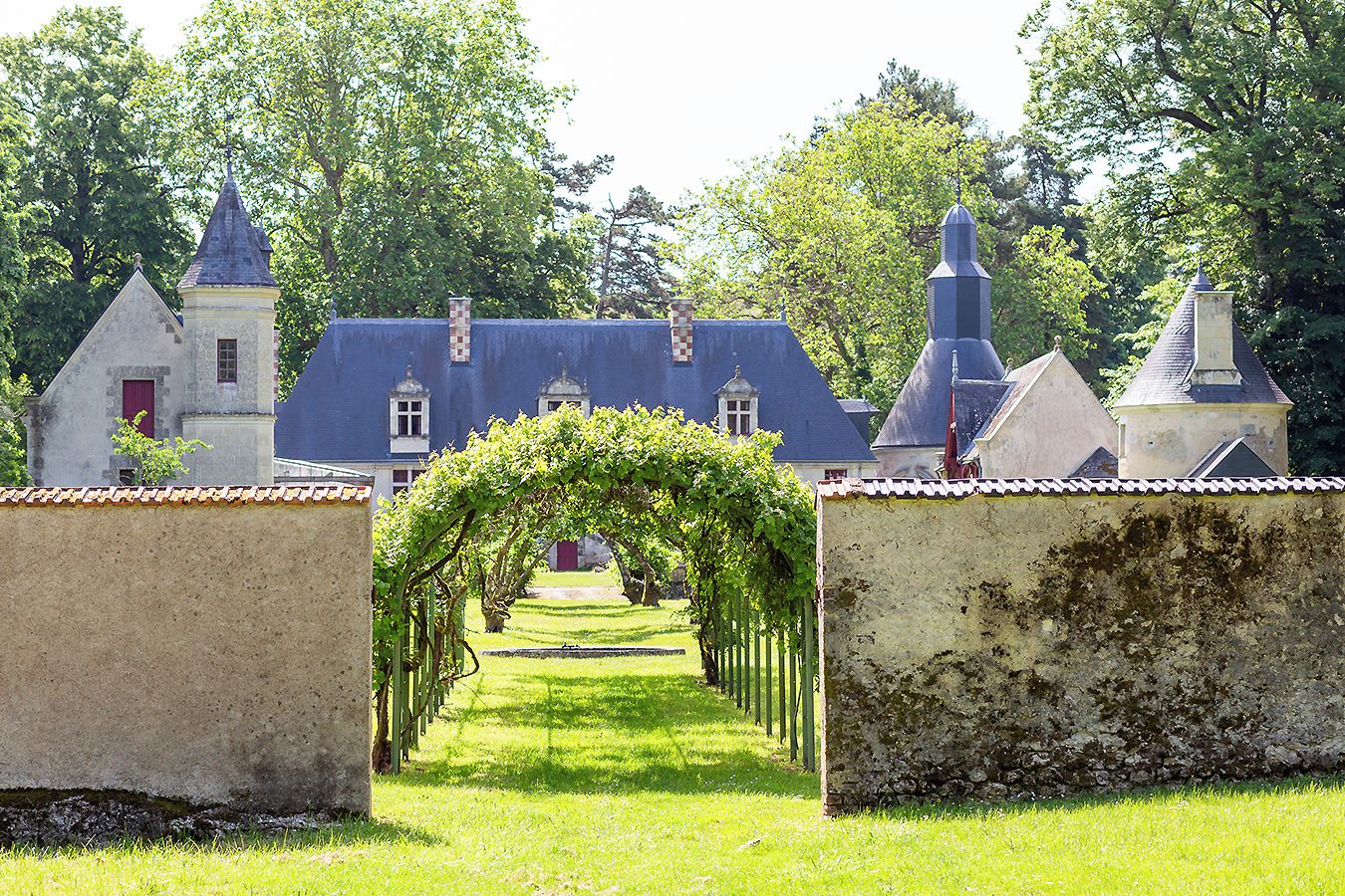 A pathway leading to a building with a traditional architectural style, surrounded by greenery and trees.