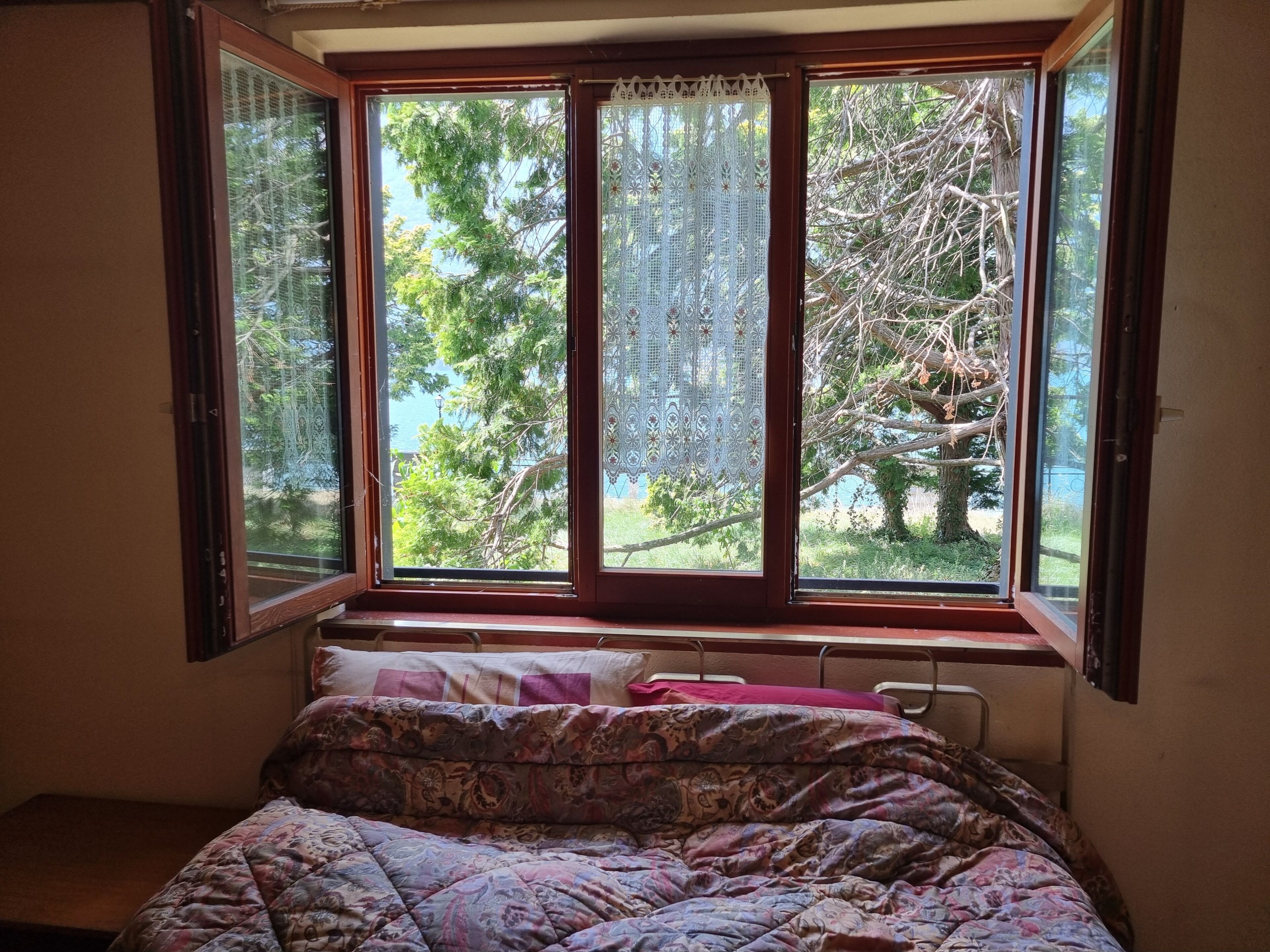 A bedroom with a window overlooking a tree and a view of the outdoors.