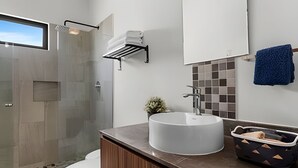 A modern bathroom with a glass shower enclosure, a white sink, and a small potted plant. - Vrbo Property (Mezcales)