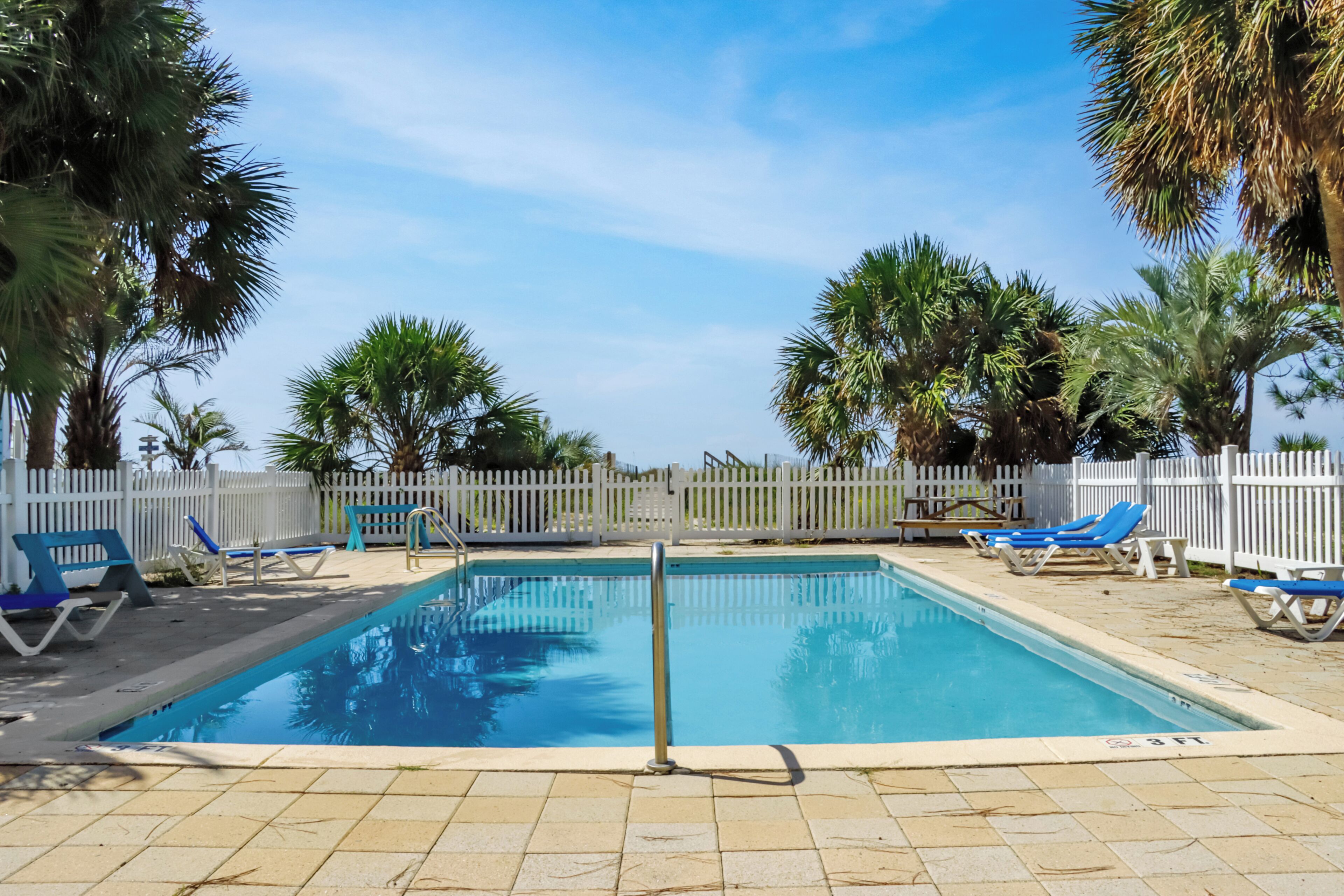 Une piscine rectangulaire entourée d’une clôture blanche et de palmiers.