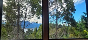 Vista desde una ventana: zona boscosa con una montaña al fondo.