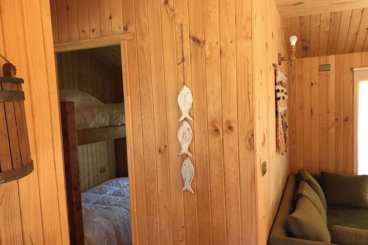 A wooden interior with a bunk bed, a wall-mounted light fixture, and a sofa.