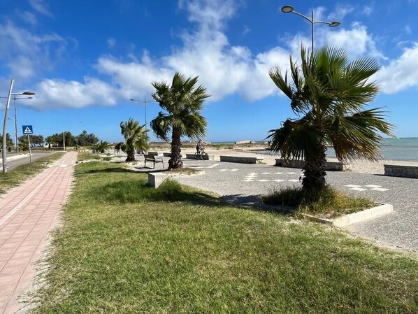 Un chemin piétonnier dallé, bordé de palmiers, avec un banc et un lampadaire.