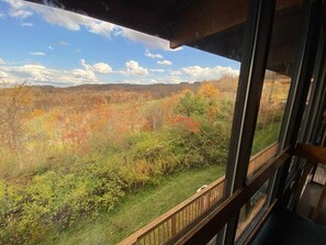 Une vue depuis une fenêtre donnant sur un paysage composé d’arbres et d’une zone herbeuse.