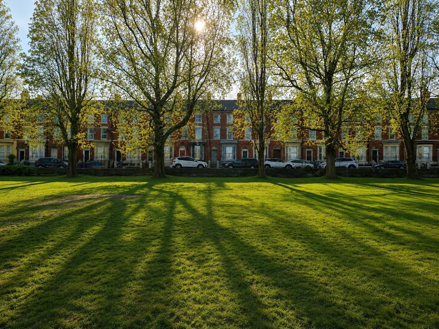 A grassy area with trees and parked cars in front of a row of red brick townhouses.