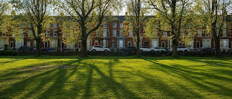 A grassy area with trees and parked cars in front of a row of red brick townhouses.