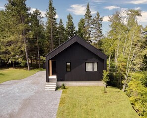 Une maison moderne, de couleur noire, avec un toit en pente, un porche à l’avant et une allée gravillonnée.