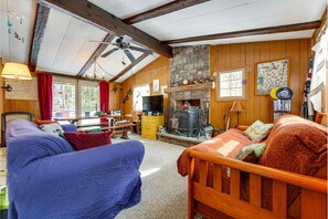 TV, fireplace, books