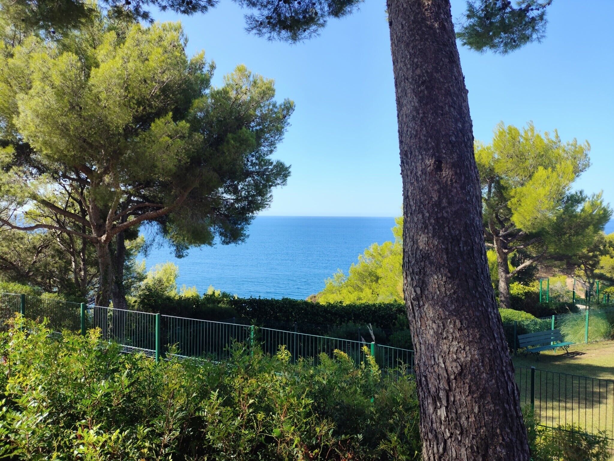 Un paysage côtier offrant une vue dégagée sur la mer, bordé d’arbres et comprenant une zone délimitée par une clôture.