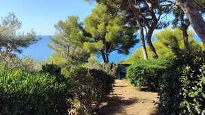 A pathway leading to a body of water, surrounded by trees and shrubs.