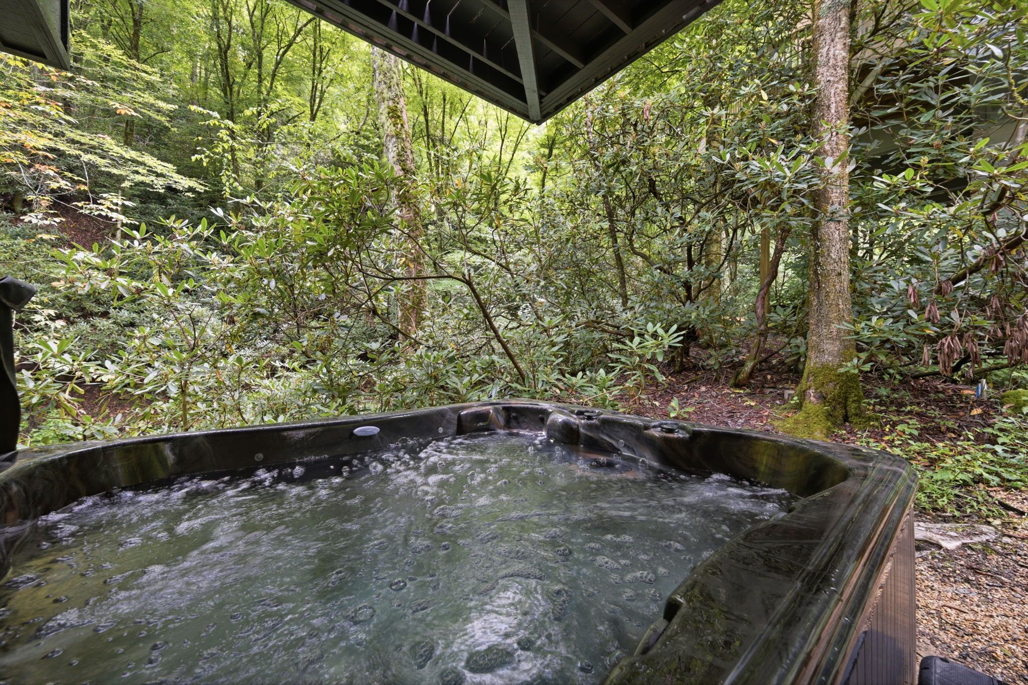 Un bain à remous situé dans une zone boisée, avec une terrasse en bois au-dessus.