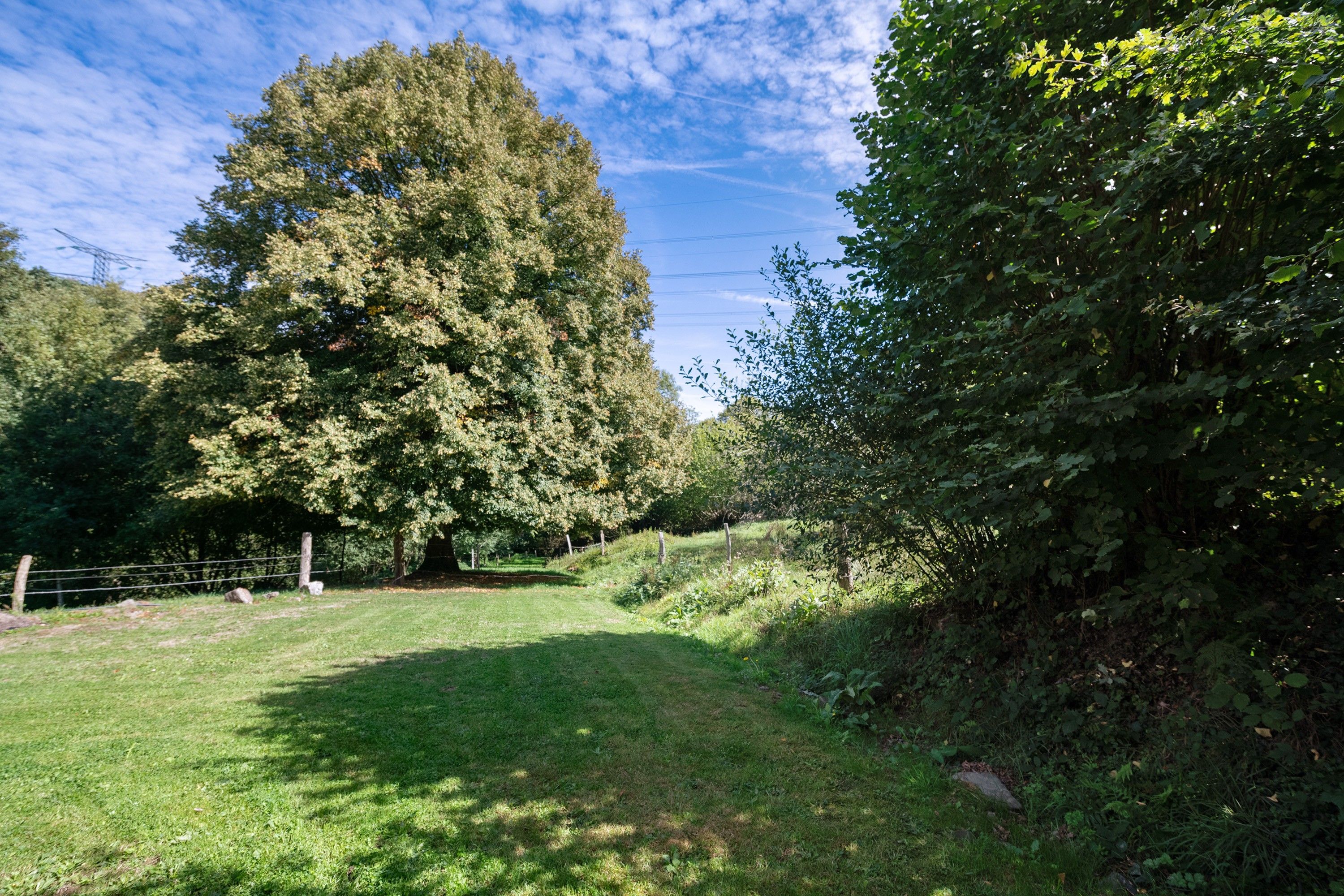 A grassy pathway leading through a wooded area with a large tree on the left and a fence on the right.