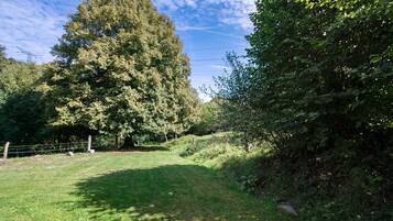 A grassy pathway leading through a wooded area with a large tree on the left and a fence on the right.