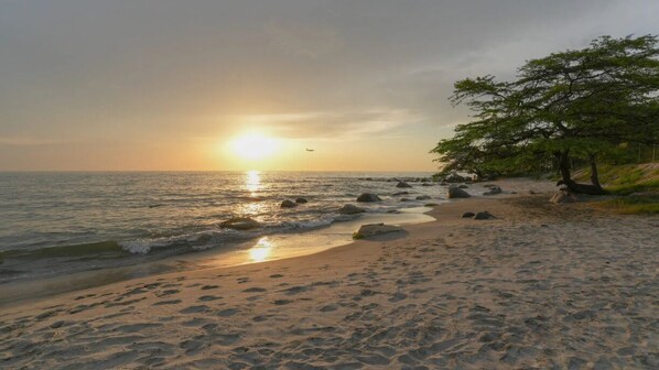 Ein Strand mit Sonnenuntergang, Wellen und einem Baum.
