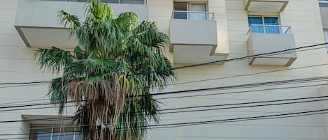 A multi-story building with balconies, a palm tree in front, and a yellow taxi parked in front.