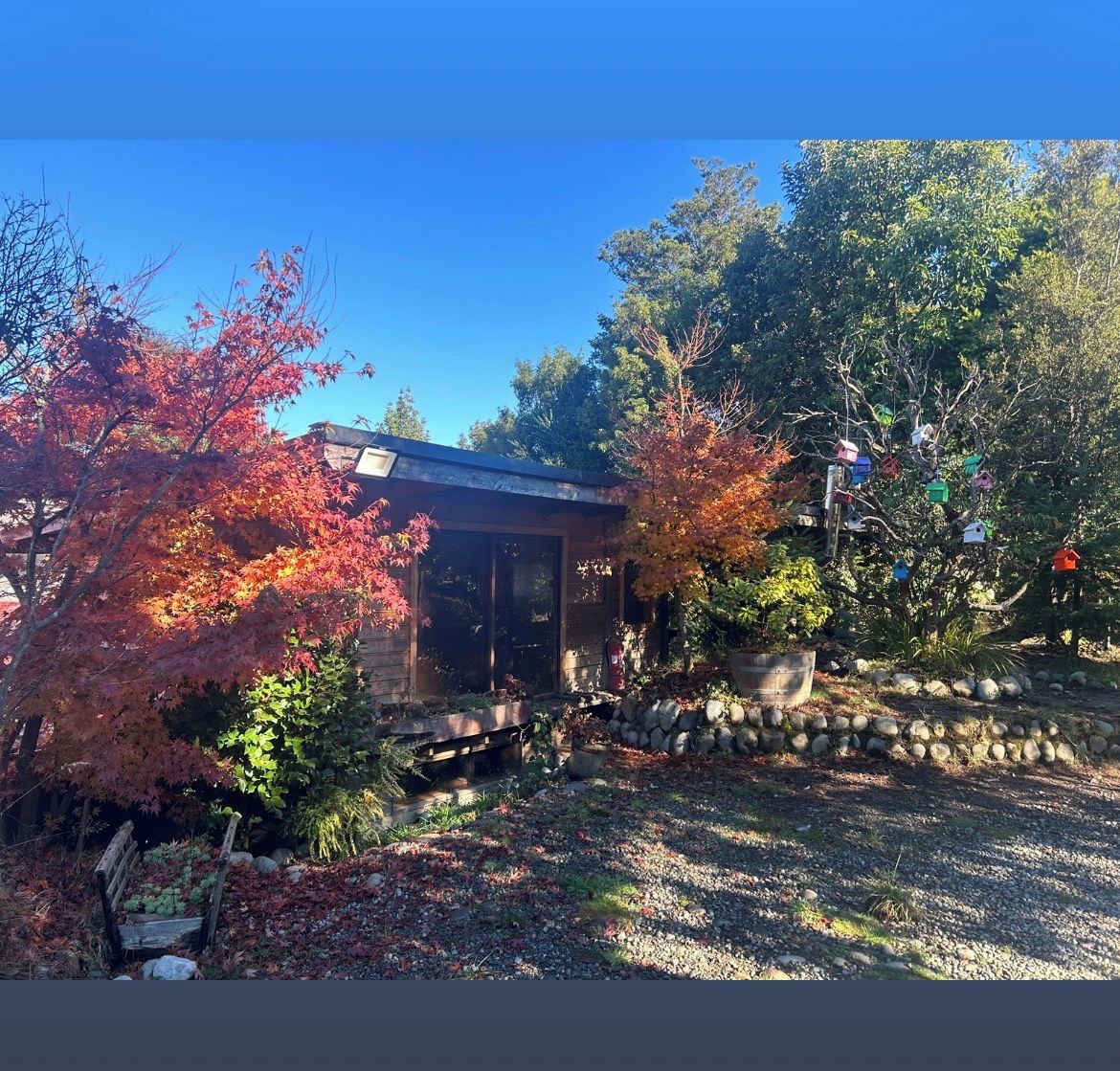 A house with a stone wall, a wooden bench, and a birdhouse in the garden.