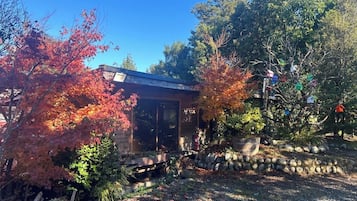 A house with a stone wall, a wooden bench, and a birdhouse in the garden.