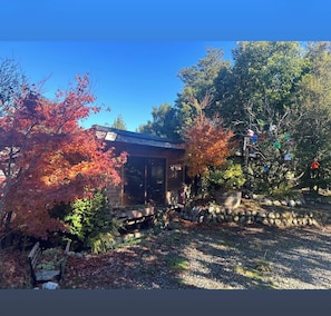 A house with a stone wall, a wooden bench, and a birdhouse in the garden.