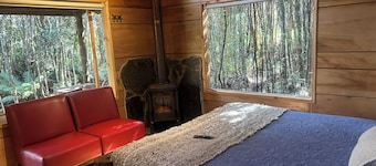 Cabañas Los Cantos del Chucao