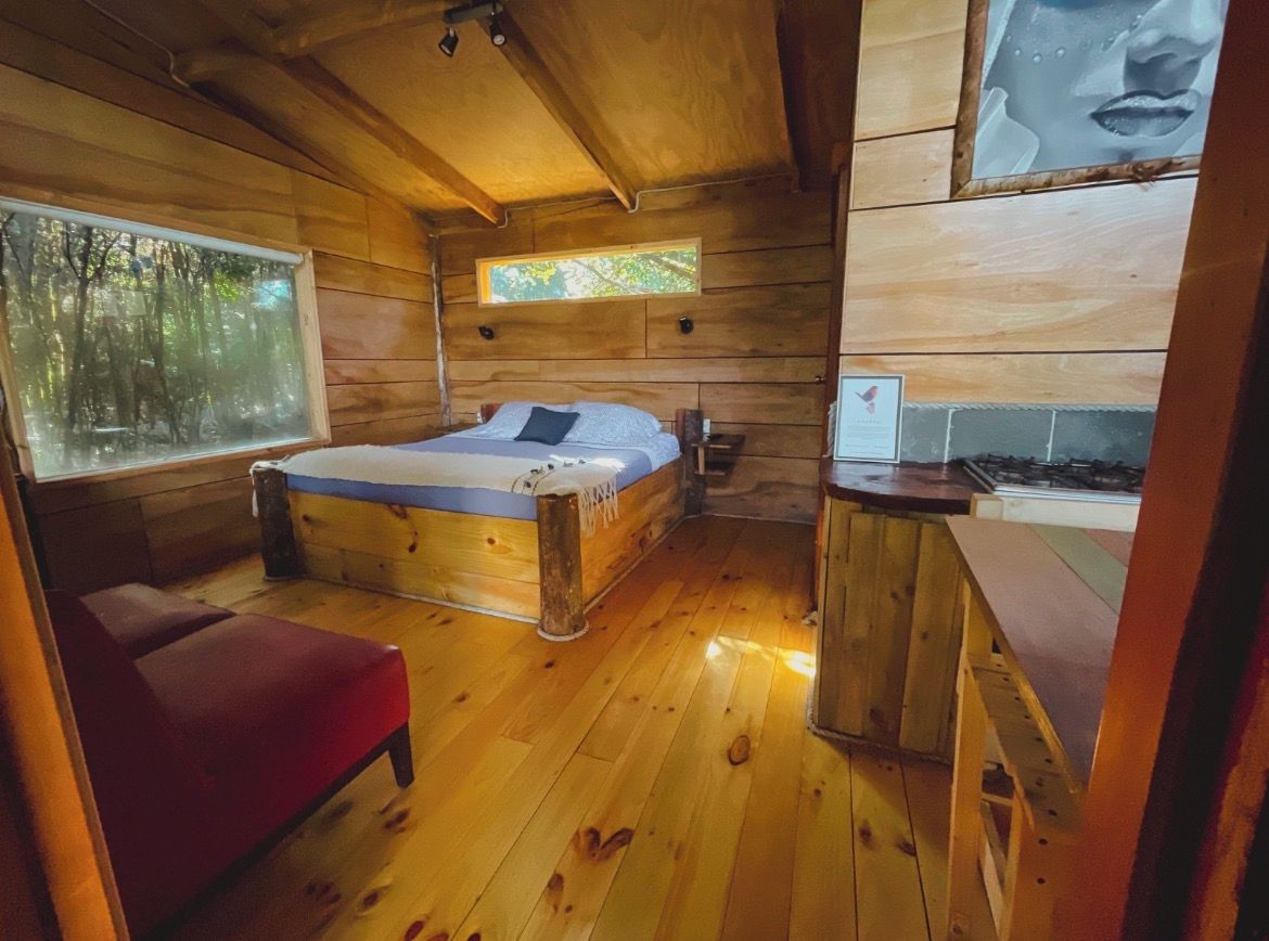A wooden cabin with a bed, a red chair, and a small kitchenette.
