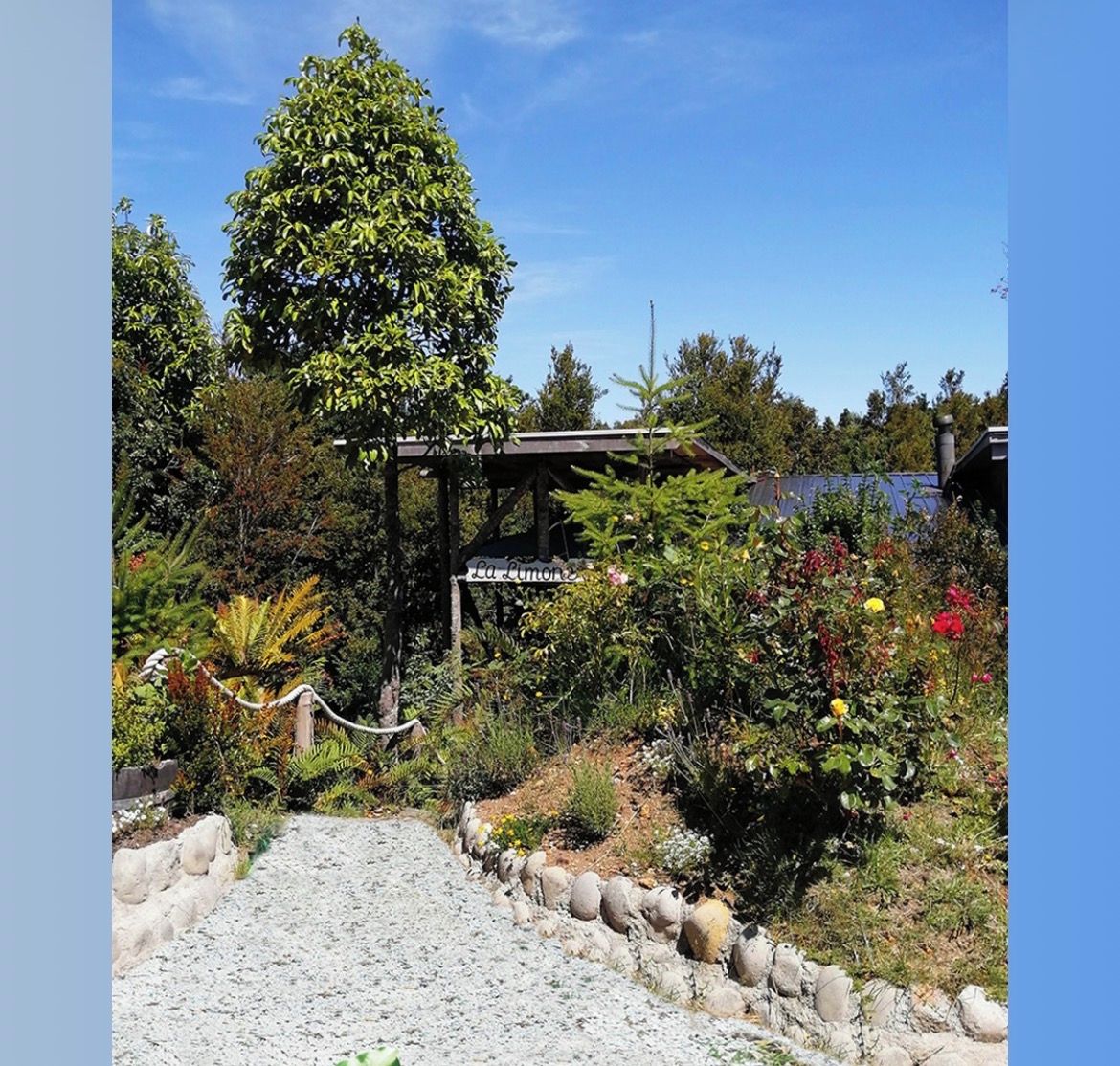 Un jardin agrémenté d’une pergola portant l’inscription « La Limon », entouré de diverses plantes et bordé d’un chemin de gravier.