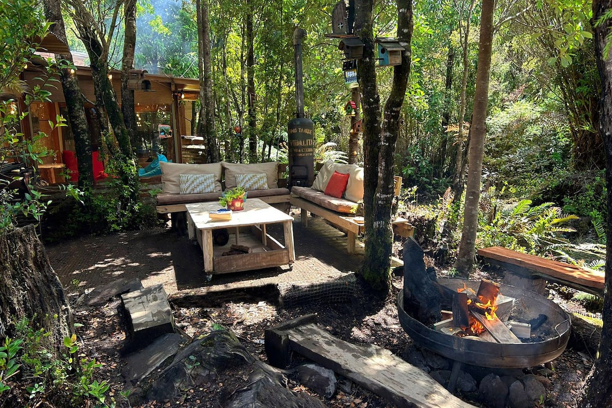 A forested outdoor area with a wooden deck, a fire pit, and seating arrangements.