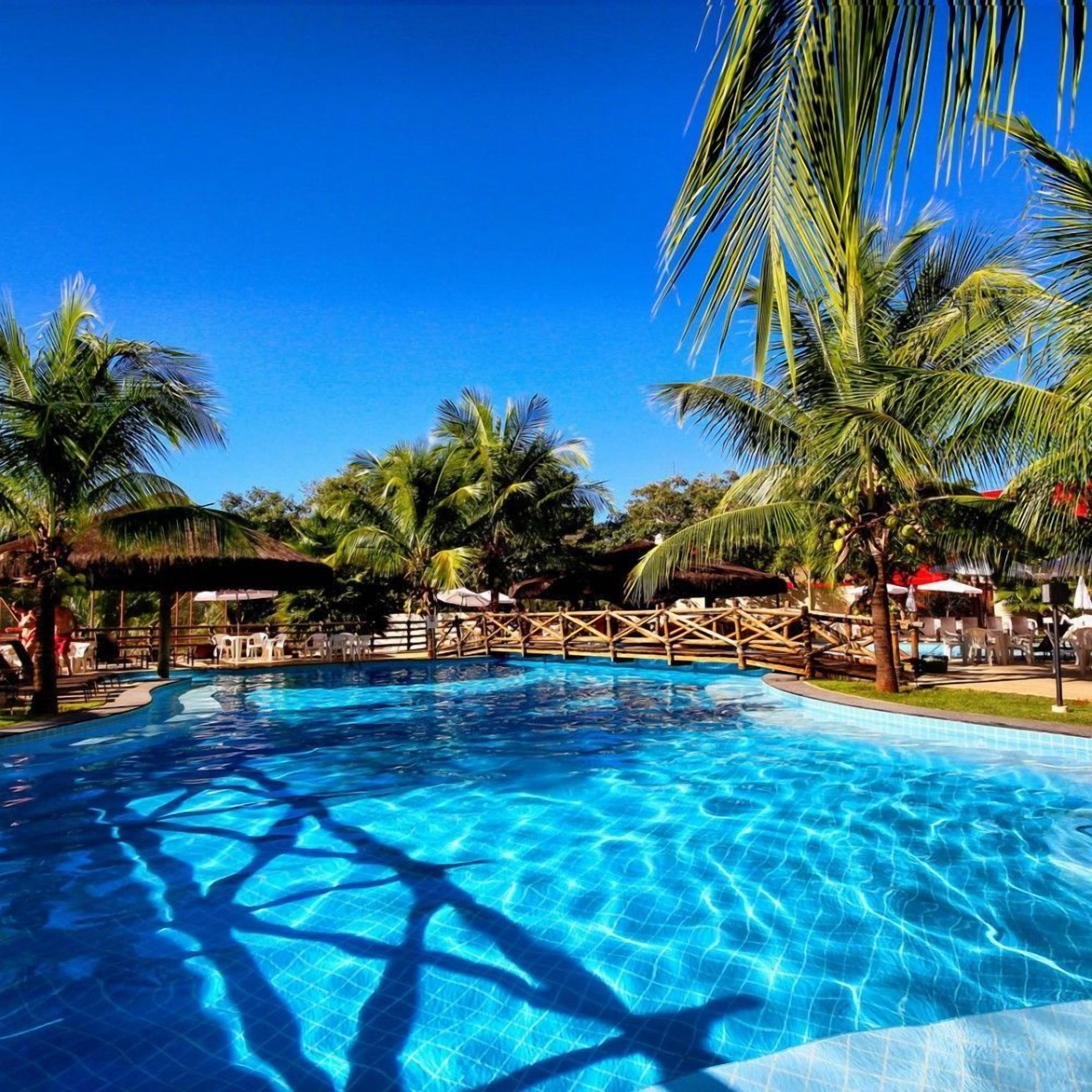 A clear blue swimming pool surrounded by palm trees and lounge chairs.