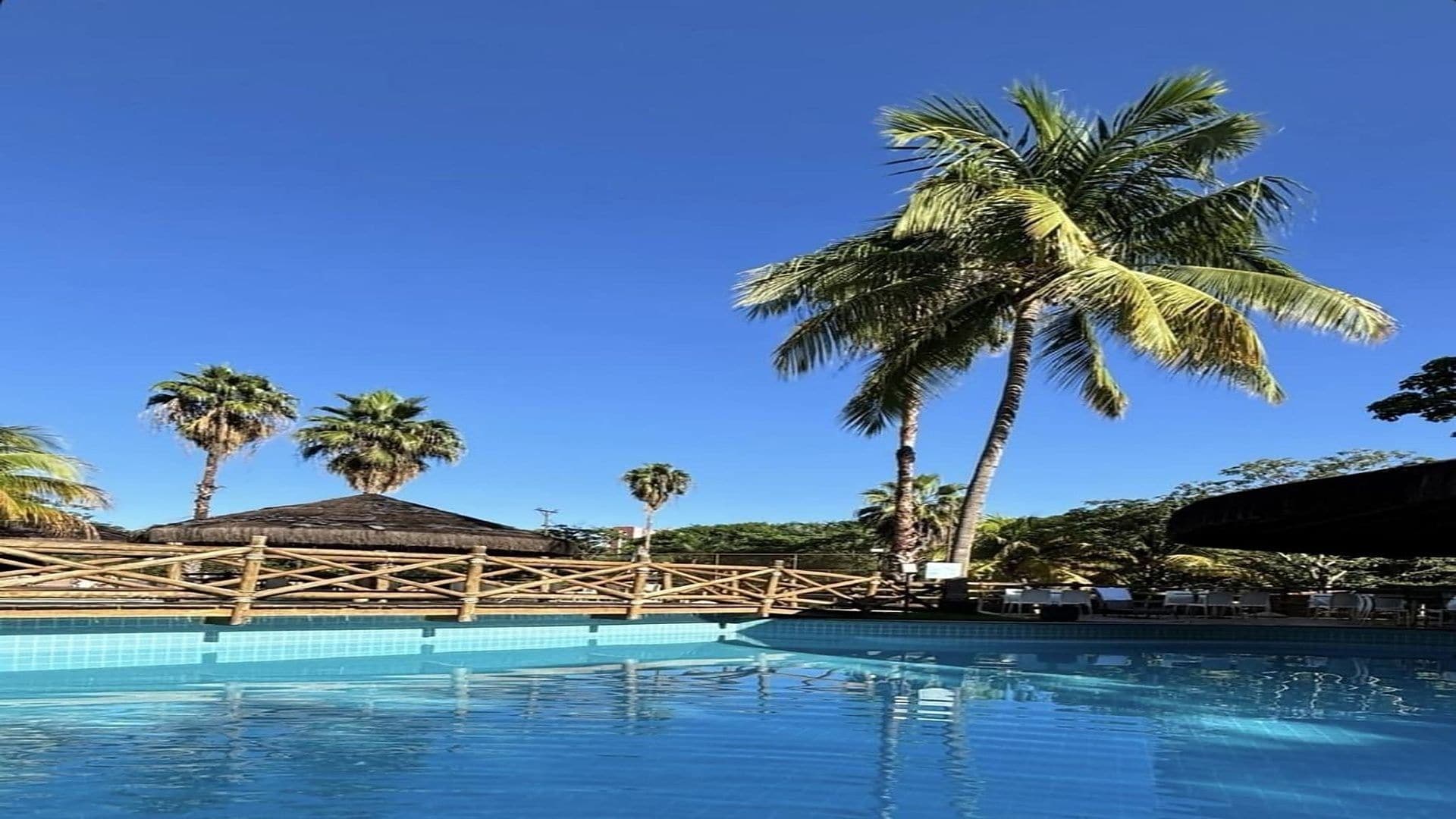 A swimming pool with a wooden deck and palm trees in the background.
