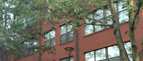 A red brick building with multiple windows, a black street lamp, and a tree in front.