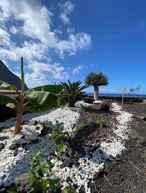 A garden with various plants and a pathway of white and dark stones.