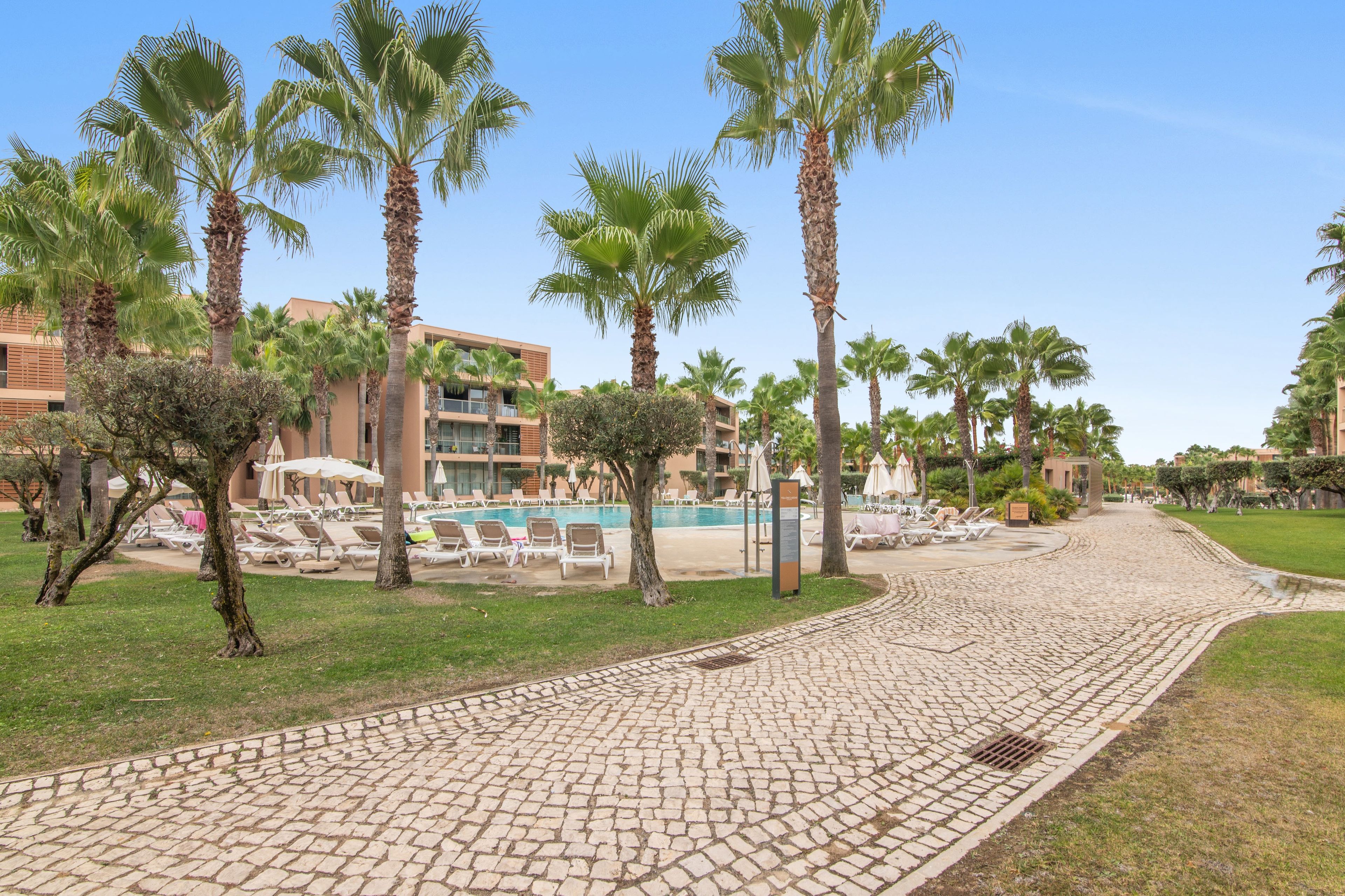 A paved pathway leading to a pool area with lounge chairs and palm trees.