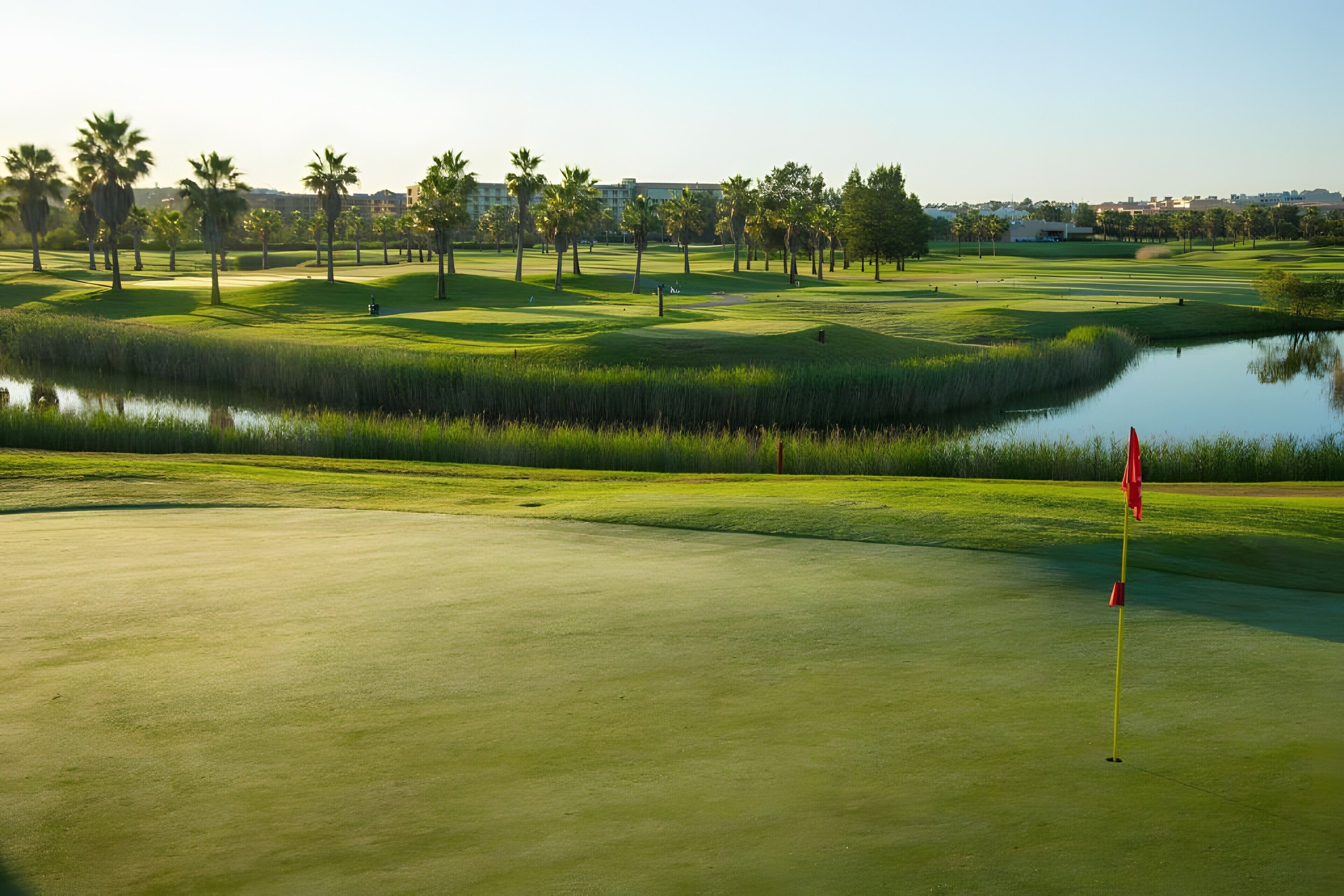 A golf course with a water hazard, palm trees, and a distant building.
