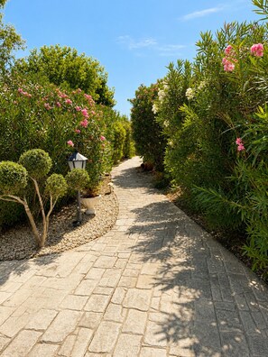 A paved garden pathway flanked by lush greenery and flowering plants. - Private Methoni 3 Bedroom Villa Walk to Castle and Beach. (methoni)