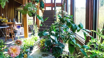 A covered outdoor area with potted plants and flowers, wooden benches, and a staircase leading to an upper level.