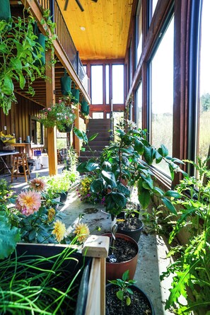 A covered outdoor area with potted plants and flowers, wooden benches, and a staircase leading to an upper level.