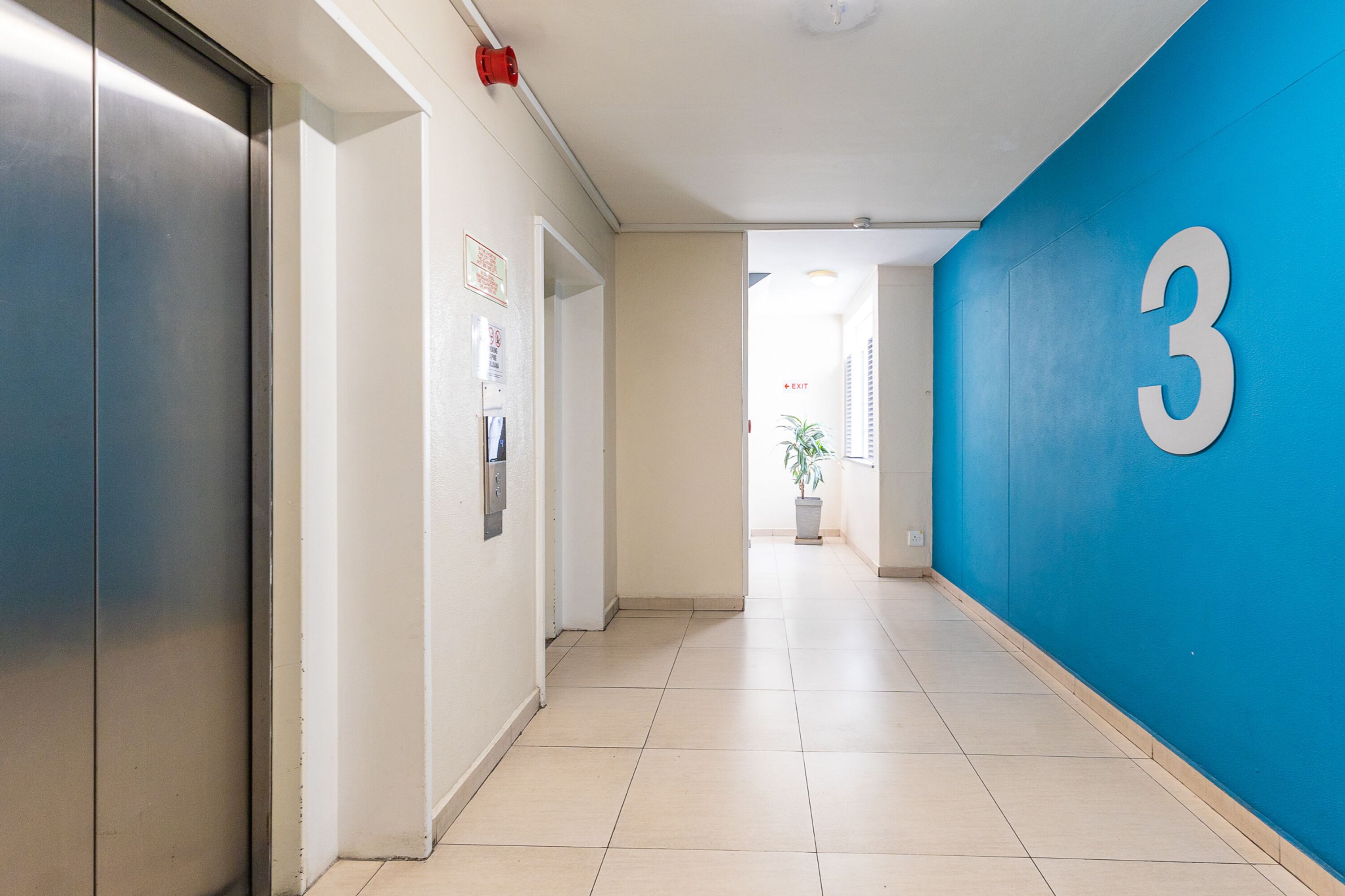 A hallway with a blue wall, a number '3' sign, and a potted plant.