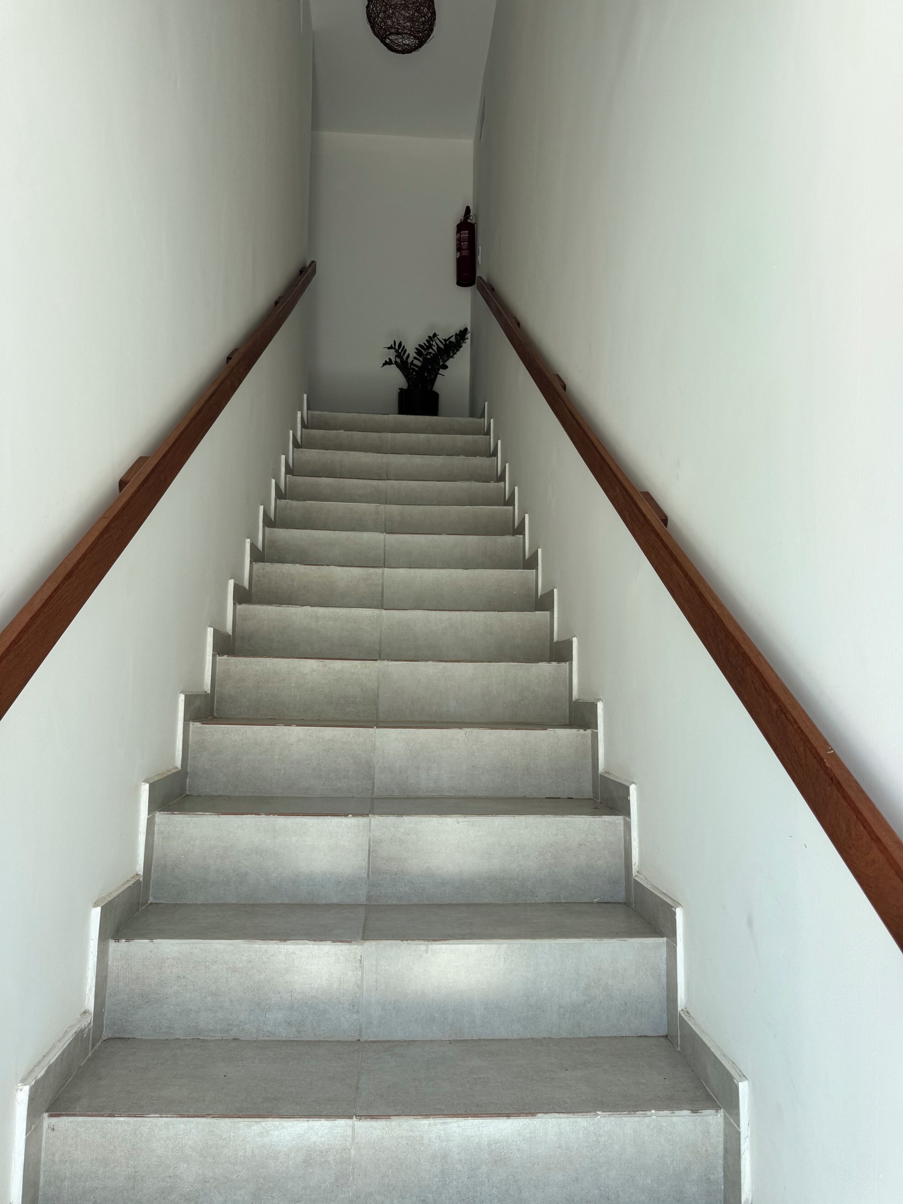 A staircase with a wooden handrail, white walls, and a potted plant at the top.